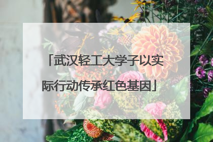 武汉轻工大学子以实际行动传承红色基因