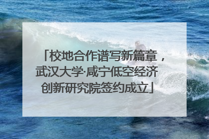 校地合作谱写新篇章，武汉大学·咸宁低空经济创新研究院签约成立