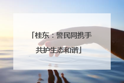 桂东：警民同携手 共护生态和谐