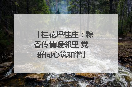 桂花坪桂庄：粽香传情暖邻里 党群同心筑和谐