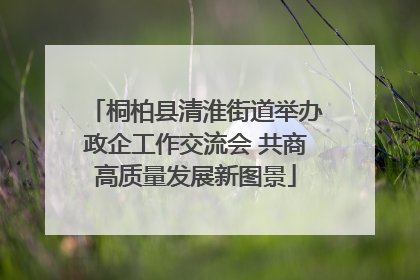 桐柏县清淮街道举办政企工作交流会 共商高质量发展新图景