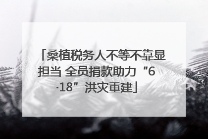 桑植税务人不等不靠显担当 全员捐款助力“6·18”洪灾重建