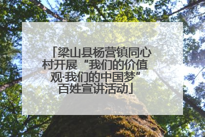 梁山县杨营镇同心村开展“我们的价值观·我们的中国梦”百姓宣讲活动