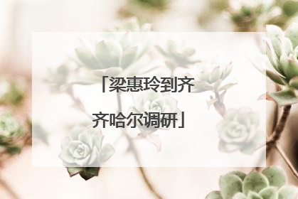 梁惠玲到齐齐哈尔调研