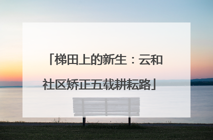 梯田上的新生：云和社区矫正五载耕耘路