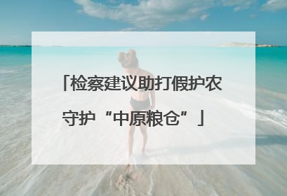 检察建议助打假护农守护“中原粮仓”