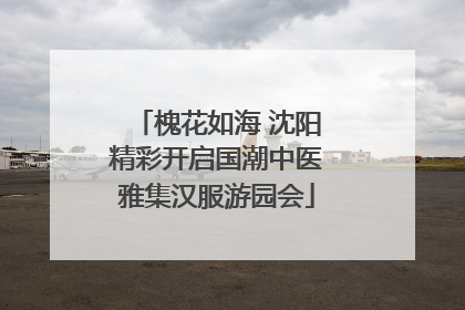槐花如海 沈阳精彩开启国潮中医雅集汉服游园会