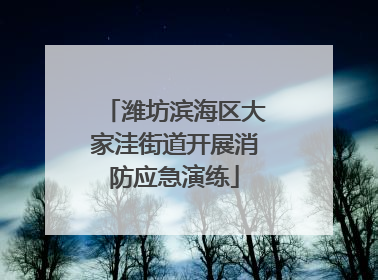 潍坊滨海区大家洼街道开展消防应急演练