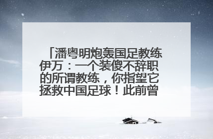 潘粤明炮轰国足教练伊万：一个装傻不辞职的所谓教练，你指望它拯救中国足球！此前曾多次发文评价国足