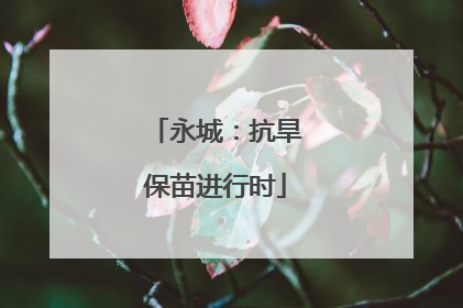 永城：抗旱保苗进行时