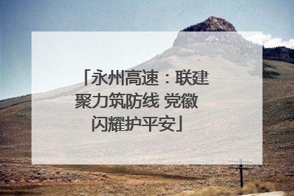 永州高速：联建聚力筑防线 党徽闪耀护平安