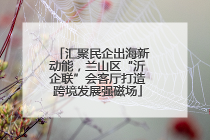 汇聚民企出海新动能，兰山区“沂企联”会客厅打造跨境发展强磁场