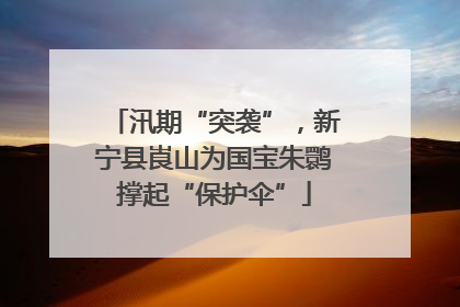 汛期“突袭”，新宁县崀山为国宝朱鹮撑起“保护伞”