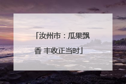 汝州市：瓜果飘香 丰收正当时