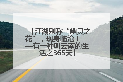 江湖别称“幽灵之花”，现身临沧！——有一种叫云南的生活之365天