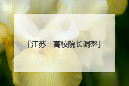 江苏一高校院长调整