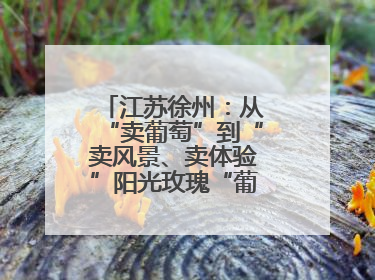 江苏徐州：从“卖葡萄”到“卖风景、卖体验”阳光玫瑰“葡”就致富路