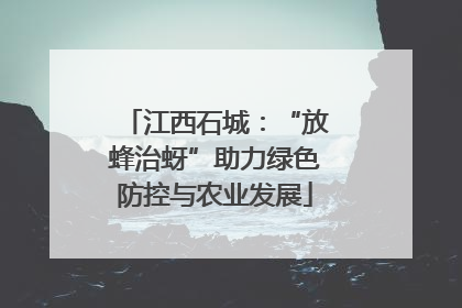 江西石城：“放蜂治蚜”助力绿色防控与农业发展