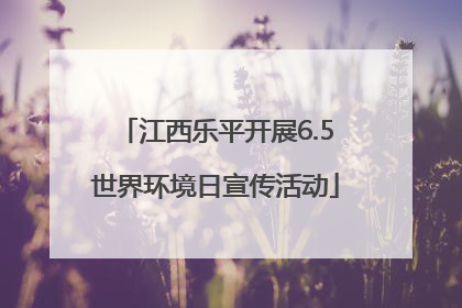 江西乐平开展6.5世界环境日宣传活动