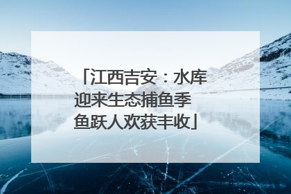 江西吉安：水库迎来生态捕鱼季 鱼跃人欢获丰收