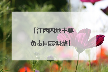 江西四地主要负责同志调整