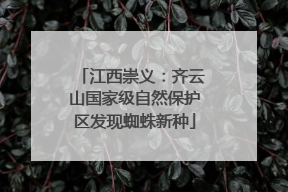 江西崇义：齐云山国家级自然保护区发现蜘蛛新种