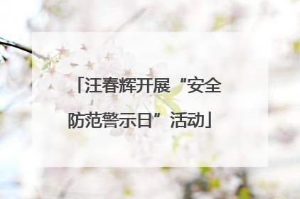 汪春辉开展“安全防范警示日”活动
