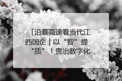 沿着高速看当代江西国企｜以“智”提“质”！贵冶数字化转型迈出新步伐