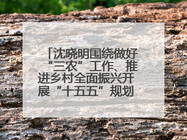 沈晓明围绕做好“三农”工作、推进乡村全面振兴开展“十五五”规划专题调研