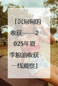 沉甸甸的收获——2025年夏季粮油收获一线观察