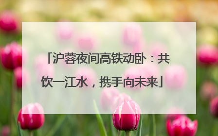 沪蓉夜间高铁动卧：共饮一江水，携手向未来