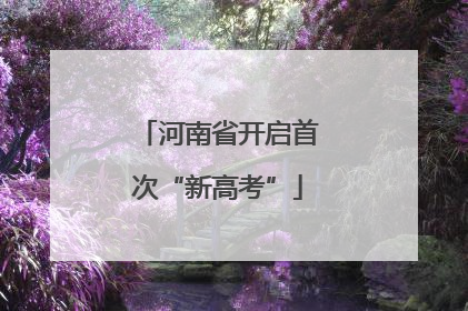 河南省开启首次“新高考”