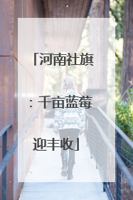 河南社旗：千亩蓝莓迎丰收