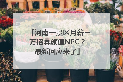 河南一景区月薪三万招募颜值NPC？最新回应来了