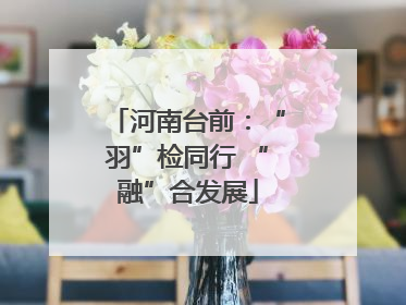 河南台前：“羽”检同行 “融”合发展