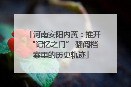 河南安阳内黄：推开“记忆之门” 翻阅档案里的历史轨迹