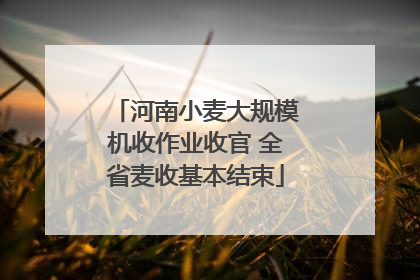 河南小麦大规模机收作业收官 全省麦收基本结束