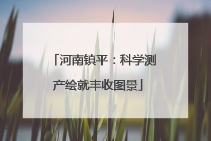 河南镇平：科学测产绘就丰收图景