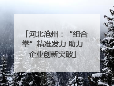 河北沧州：“组合拳”精准发力 助力企业创新突破