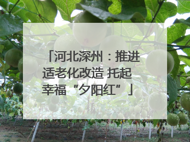 河北深州：推进适老化改造 托起幸福“夕阳红”