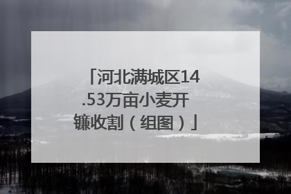 河北满城区14.53万亩小麦开镰收割（组图）