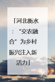 河北衡水：“交农融合”为乡村振兴注入新活力