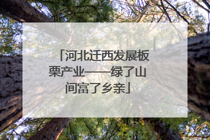 河北迁西发展板栗产业——绿了山间富了乡亲