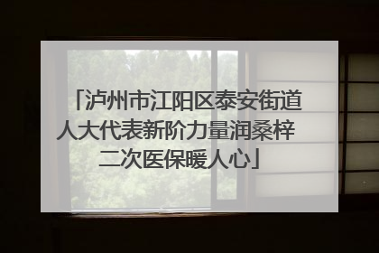 泸州市江阳区泰安街道人大代表新阶力量润桑梓 二次医保暖人心
