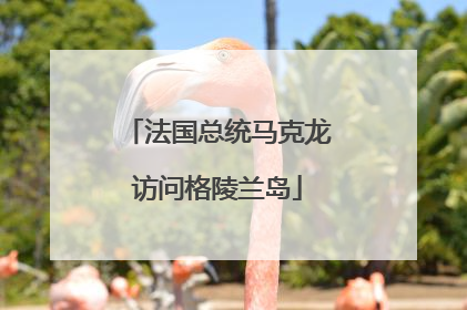 法国总统马克龙访问格陵兰岛