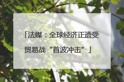 法媒：全球经济正遭受贸易战“首波冲击”