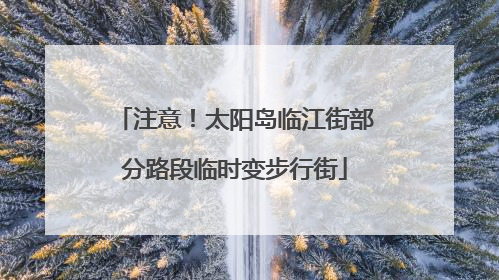 注意！太阳岛临江街部分路段临时变步行街