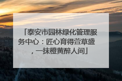 泰安市园林绿化管理服务中心：匠心育得萱草盛，一抹橙黄醉人间