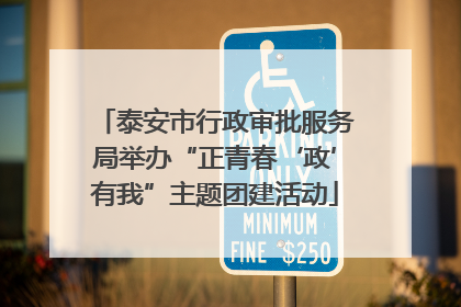 泰安市行政审批服务局举办“正青春‘政’有我”主题团建活动