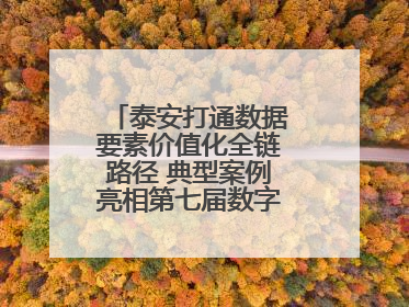 泰安打通数据要素价值化全链路径 典型案例亮相第七届数字中国建设峰会